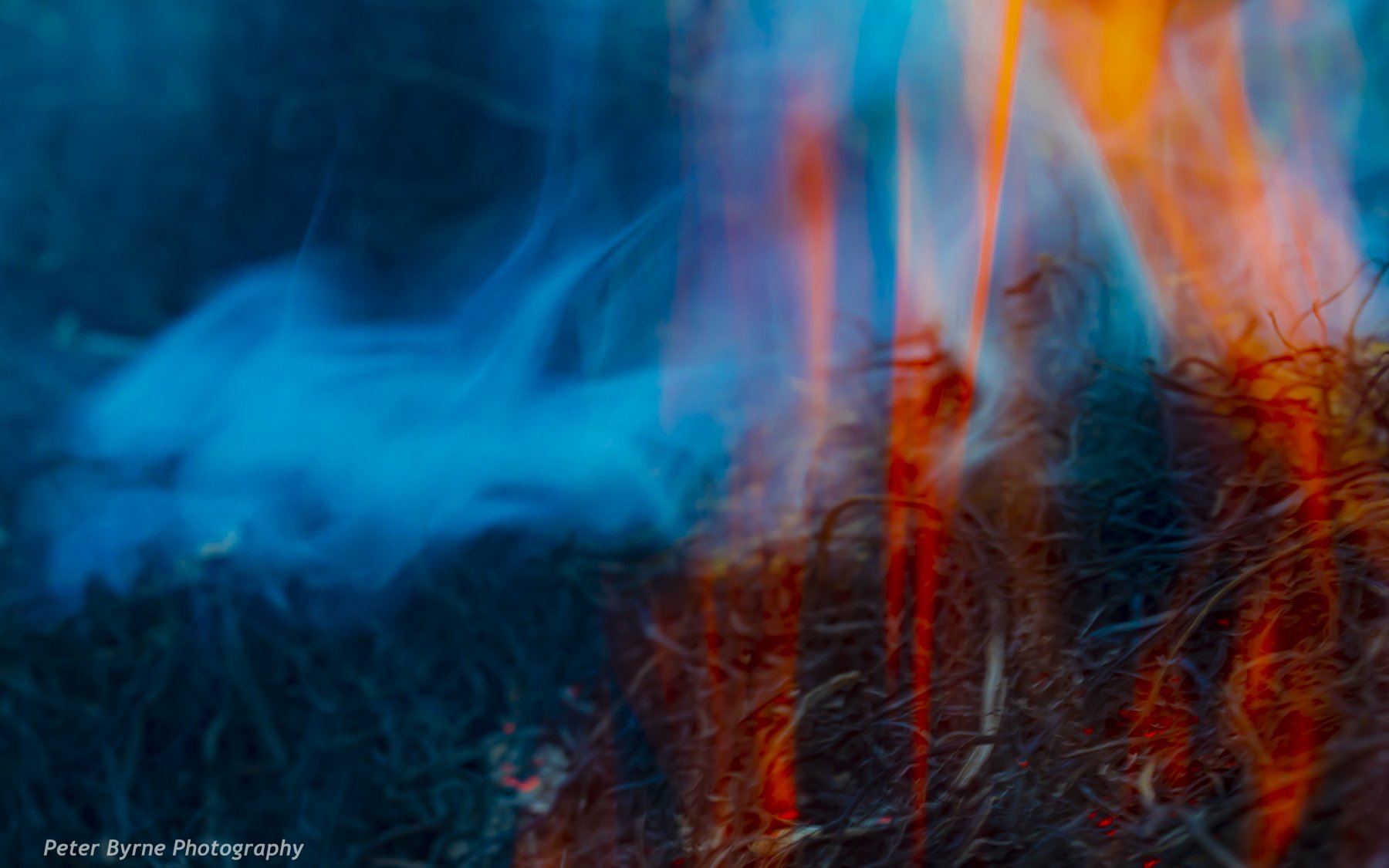 The exploration of fire and a changing environment through a macro lens